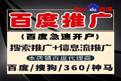 某企业SEM竞价员如何应对竞争的案例研究
